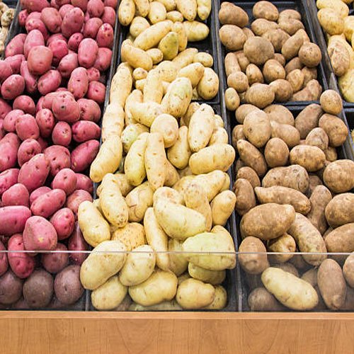 All Type Potato