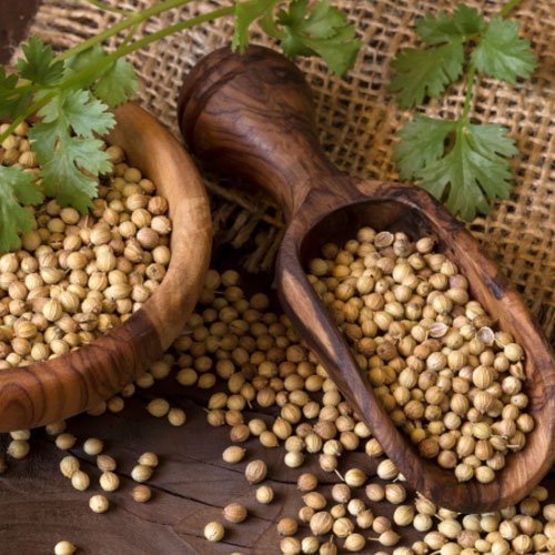 Coriander Seed