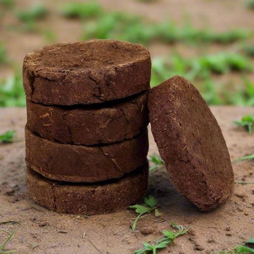 Cow Dung Cake